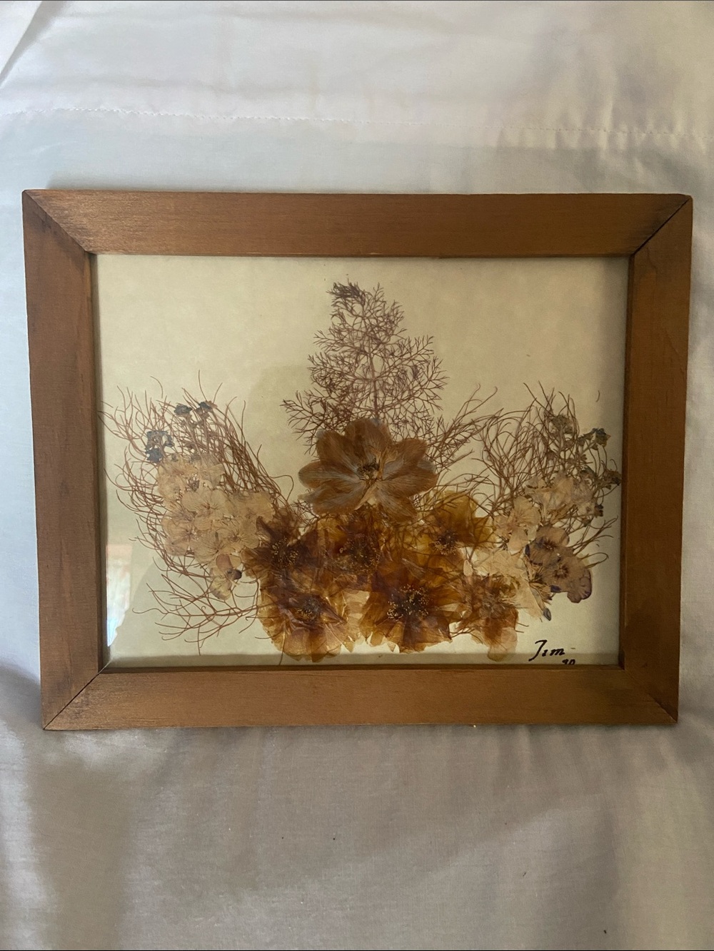 Framed Preserved Floral Art in Brown Frame